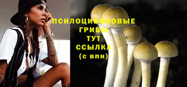 дмт Лихославль