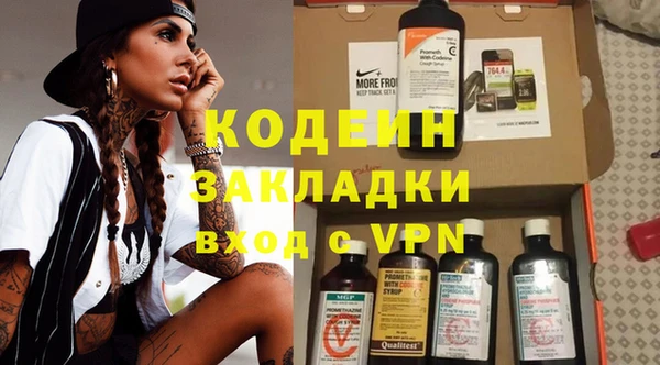 прущие грибы Мурманск