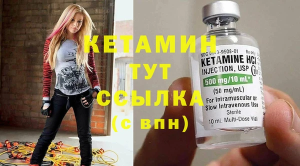 прущие грибы Мурманск