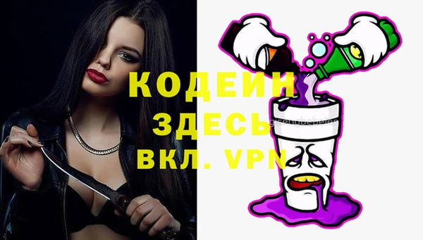 прущие грибы Мурманск