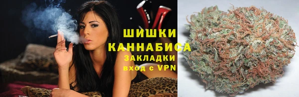 винт Кострома