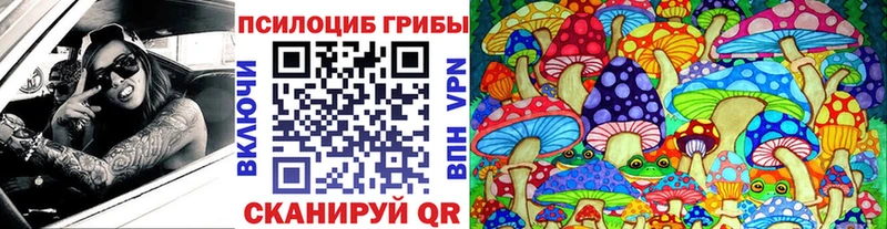 Галлюциногенные грибы Psilocybe  Томари 