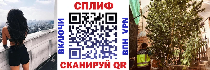наркота  Томари  МЕГА как войти  Канабис Bruce Banner 